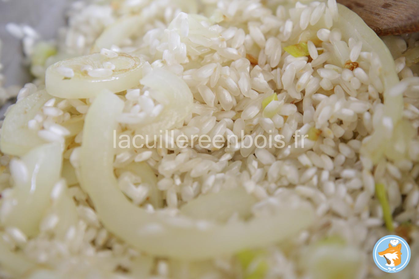 le riz à risotto devient translucide 
